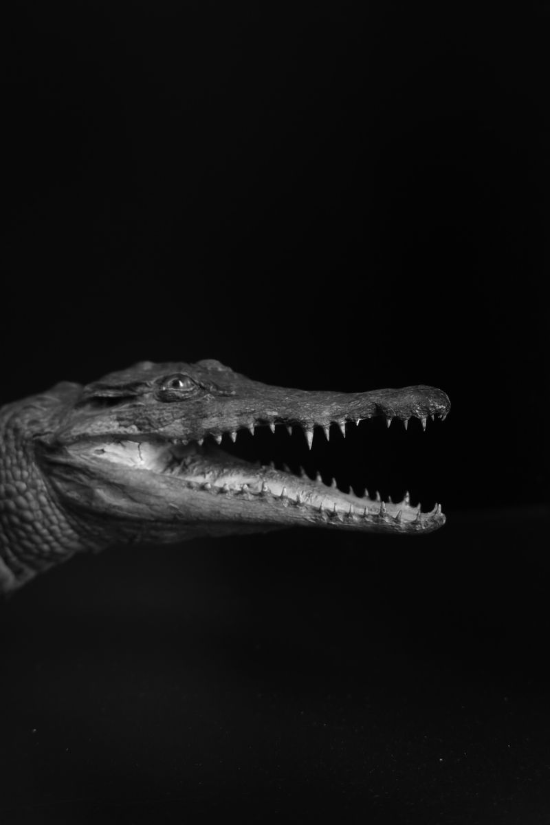 © Simona Ghizzoni - Image from the Rêve Géologique photography project