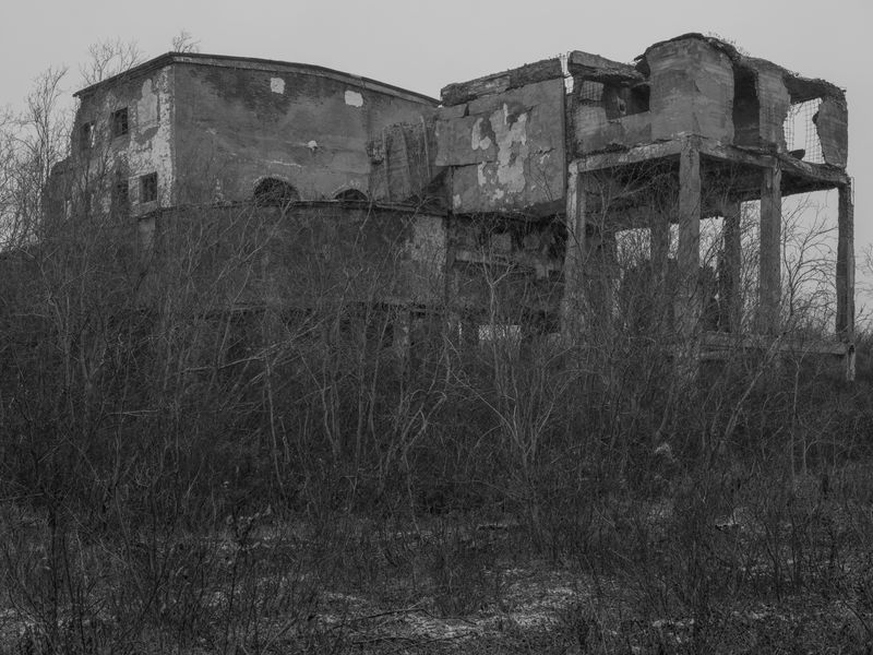 © Katya Selezneva - Image from the Whiteout photography project