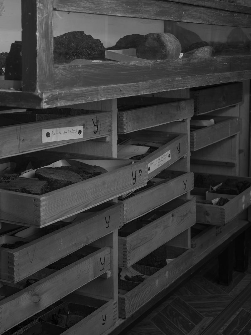 © Katya Selezneva - Image from the Whiteout photography project