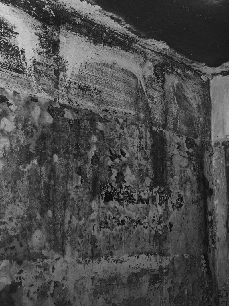 © Katya Selezneva - Image from the Whiteout photography project