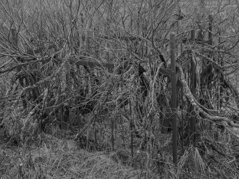 © Katya Selezneva - Image from the Whiteout photography project