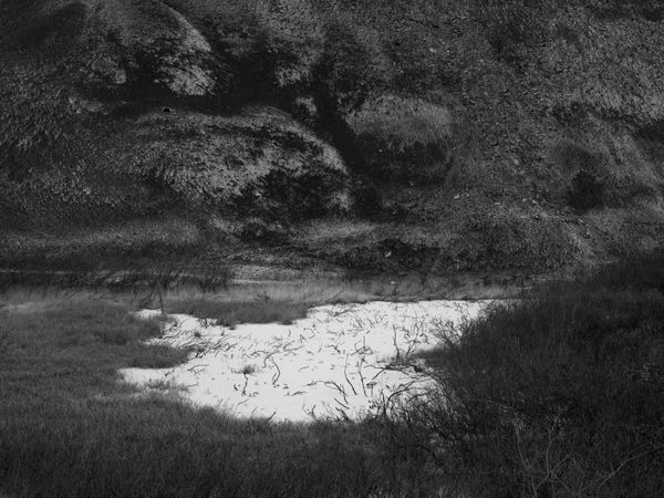 © Katya Selezneva - Image from the Whiteout photography project