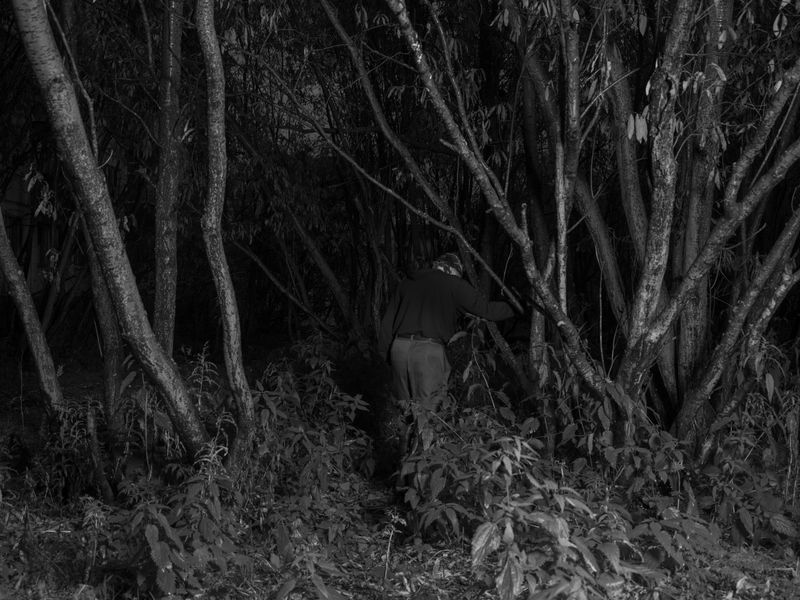 © Katya Selezneva - Locals say the bush has never been this tall