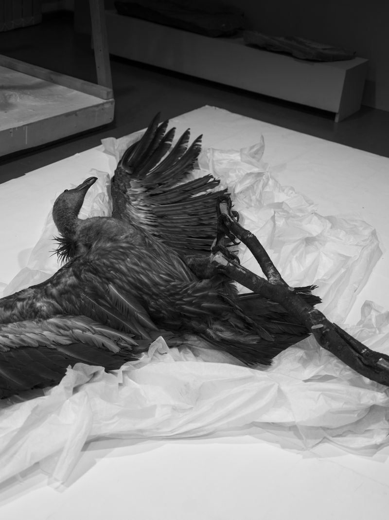 © Katya Selezneva - Re-exhibition in the local history museum