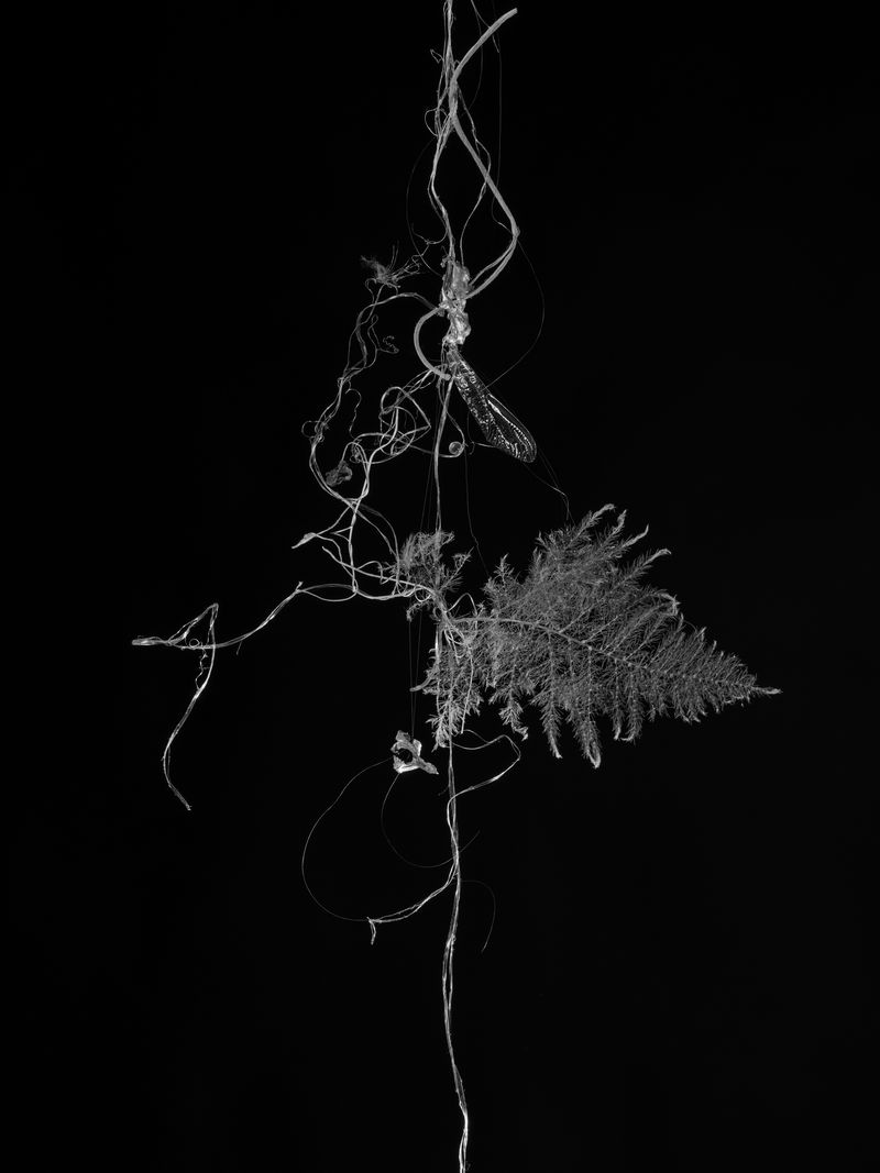 © Katya Selezneva - Image from the There Round the Corner in the Deep photography project