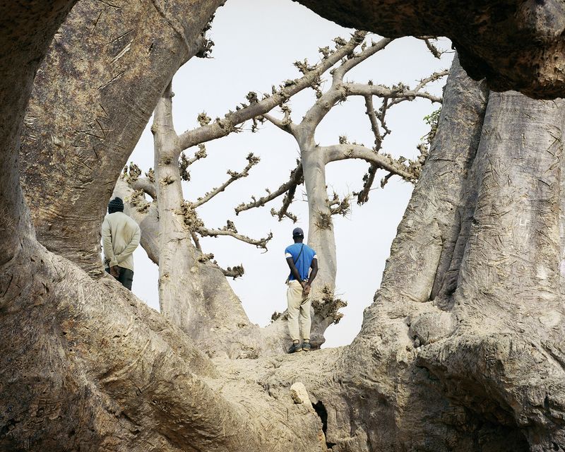 © Jasmine Clarke - Image from the Shadow of the Palm photography project