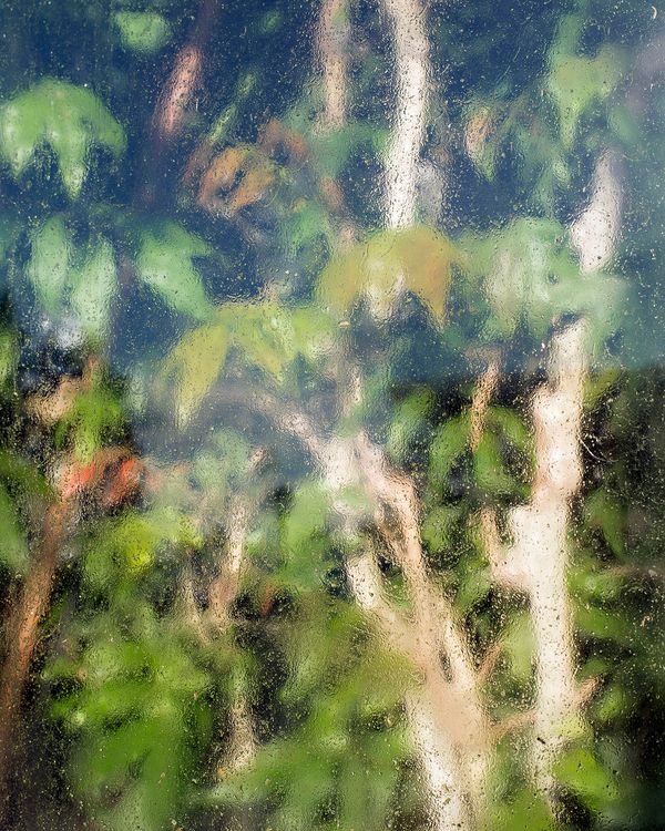 © Jasmine Clarke - Image from the Shadow of the Palm photography project