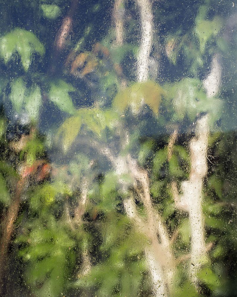 © Jasmine Clarke - Image from the Shadow of the Palm photography project