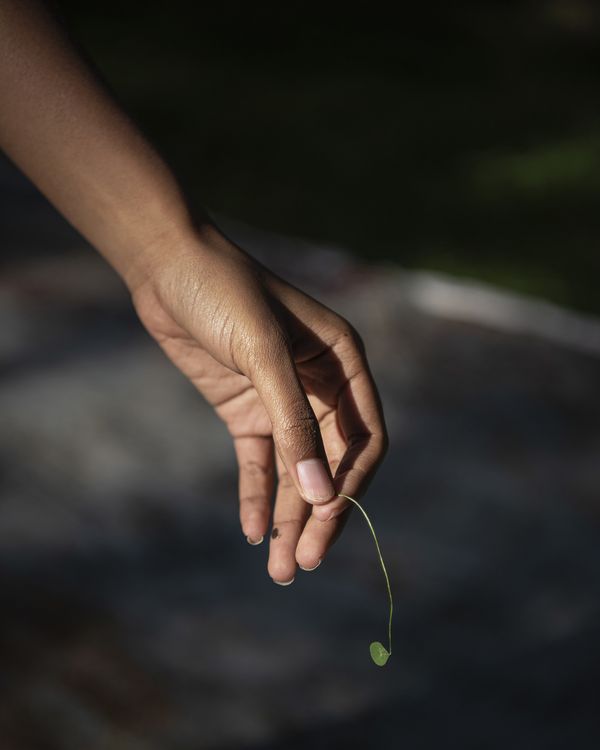 © Jasmine Clarke - Image from the Shadow of the Palm photography project