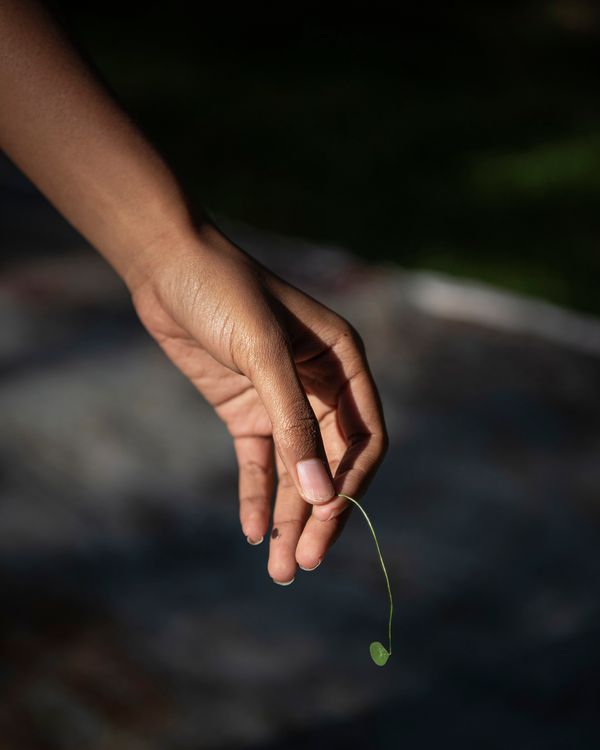 © Jasmine Clarke - Image from the Shadow of the Palm photography project