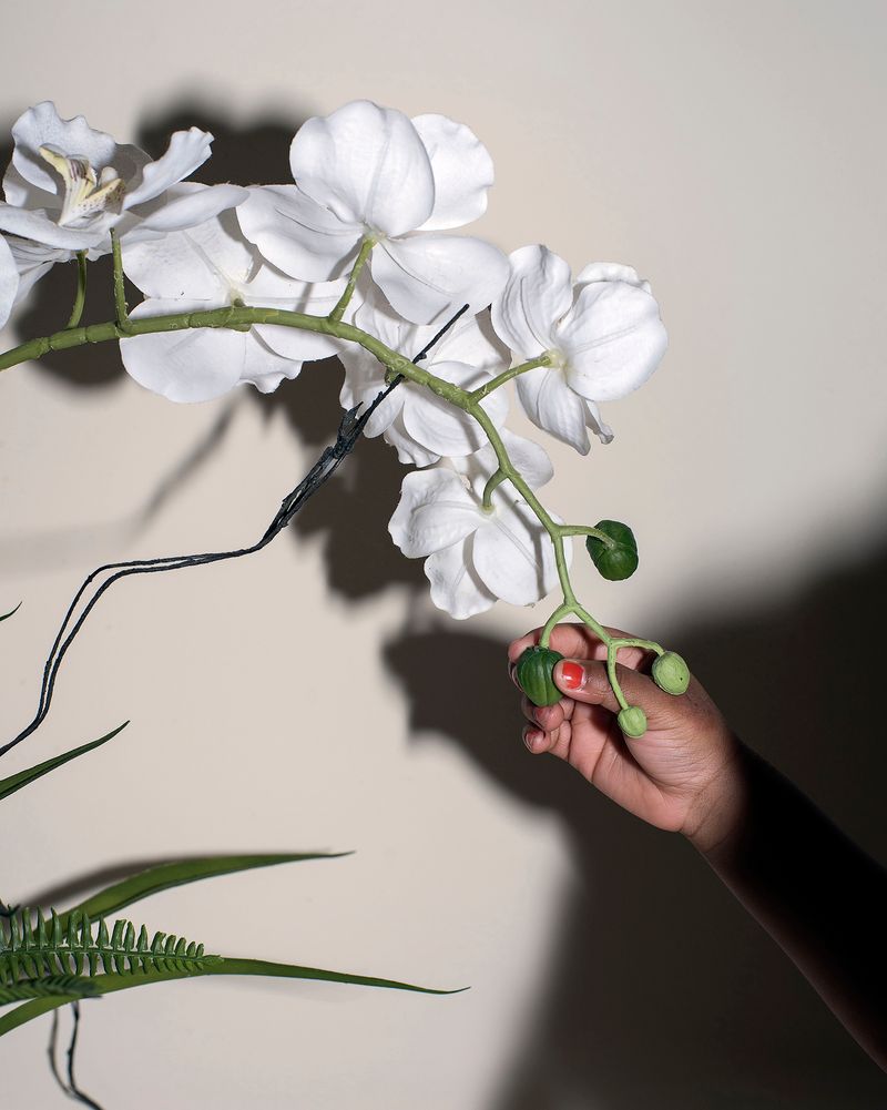 © Jasmine Clarke - Image from the Shadow of the Palm photography project