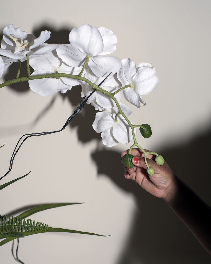 © Jasmine Clarke - Image from the Shadow of the Palm photography project
