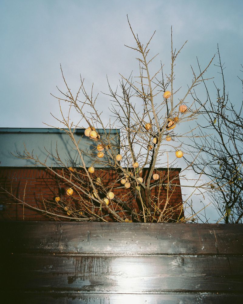 © Lenka Lukacovicova - Image from the Lonely Planet Trnávka photography project