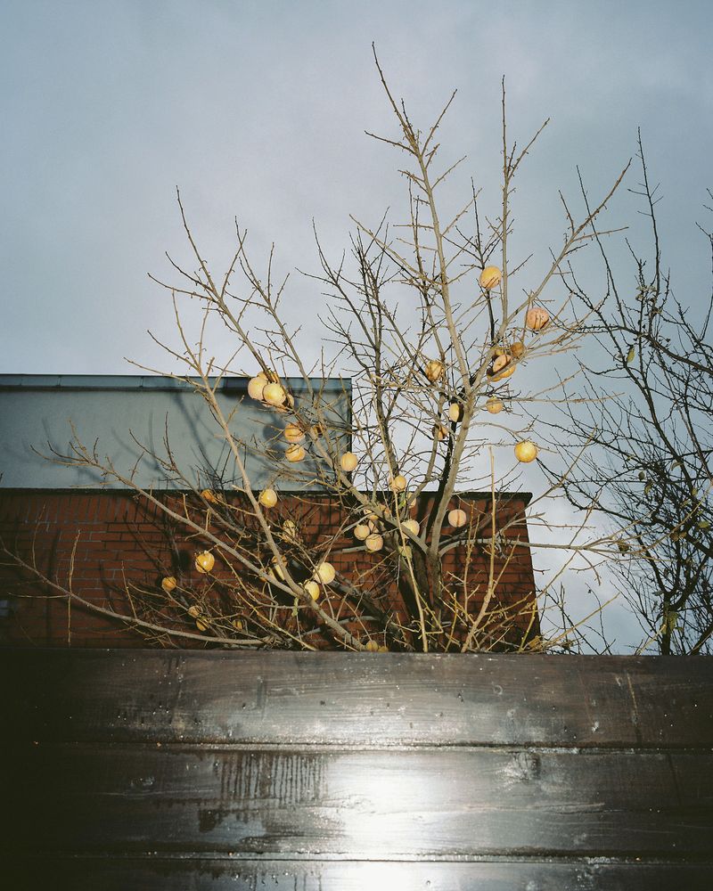 © Lenka Lukacovicova - Image from the Lonely Planet Trnávka photography project