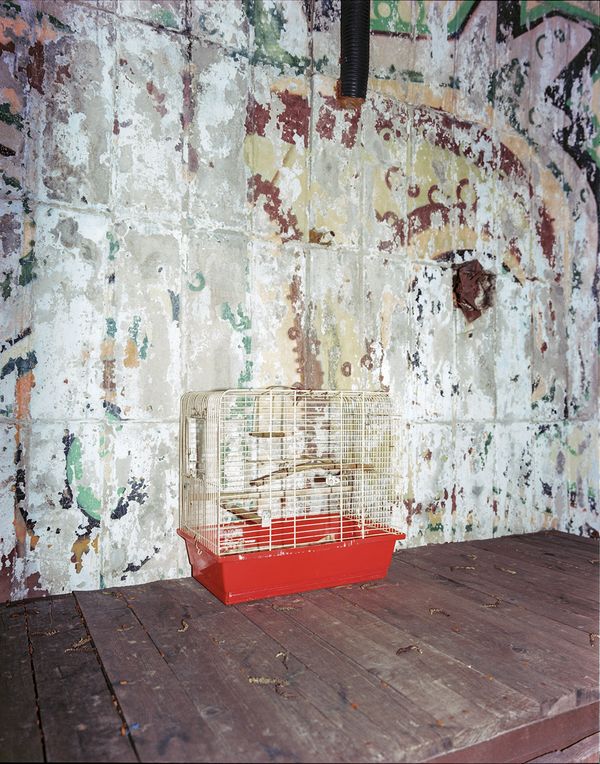 © Lenka Lukacovicova - Image from the Personal Autonomy photography project