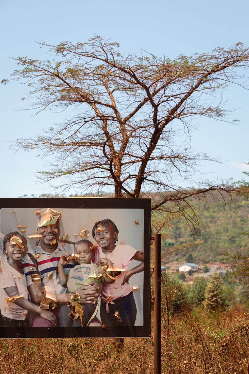 © Davina Jogi - Image from the The Landscape Does Not Sit Willingly photography project