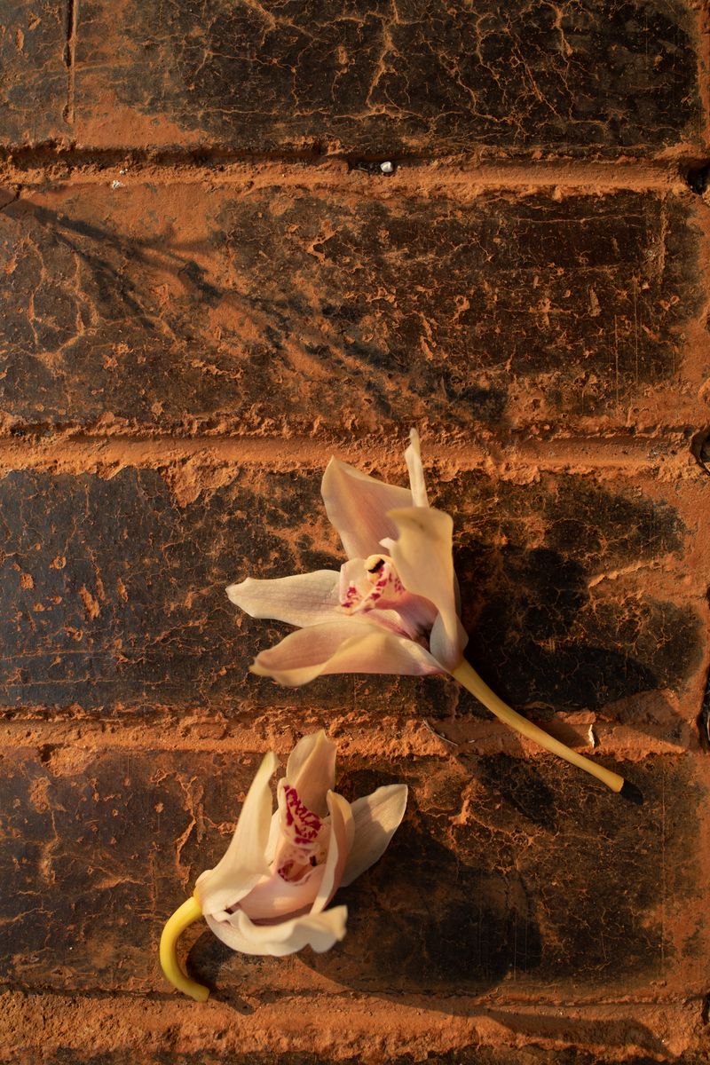 © Davina Jogi - Image from the The Landscape Does Not Sit Willingly photography project