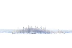 Footprint in the snow