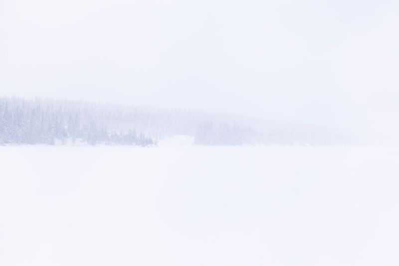 © Carol Müller - Footprint in the snow