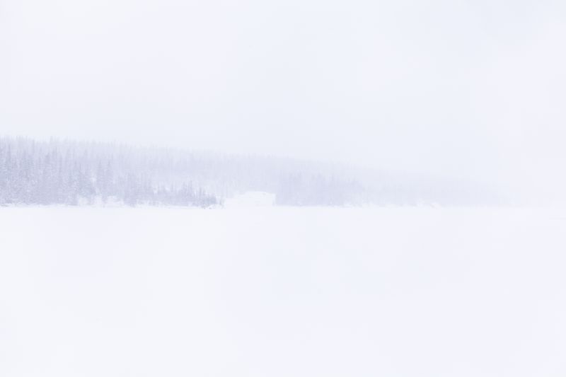 © Carol Müller - Footprint in the snow