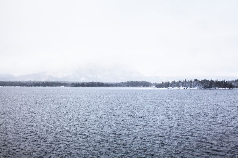© Carol Müller - Footprint in the snow