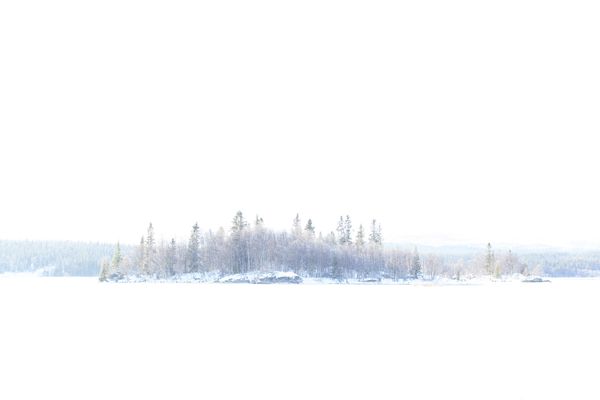 © Carol Müller - Footprint in the snow