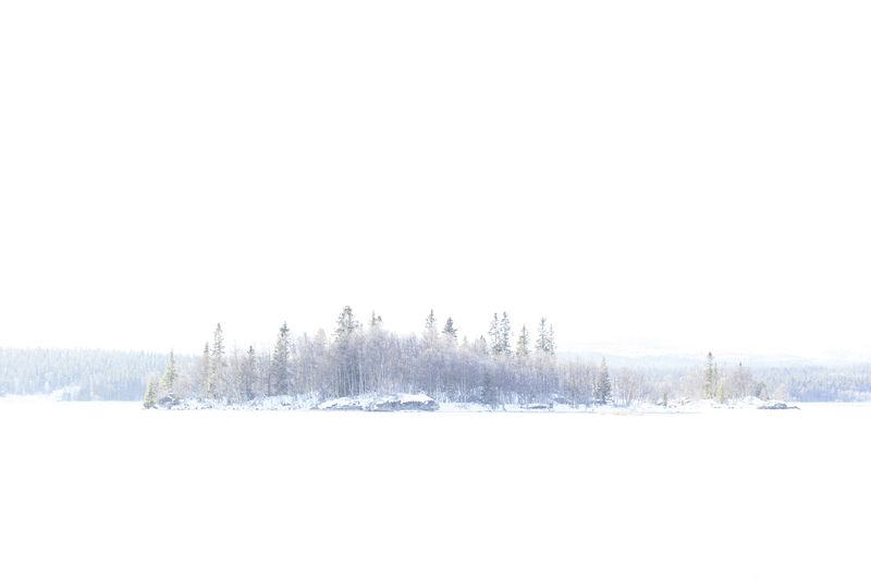 © Carol Müller - Footprint in the snow