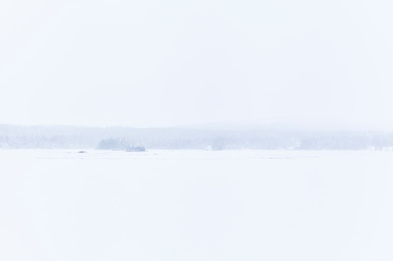 © Carol Müller - Footprint in the snow