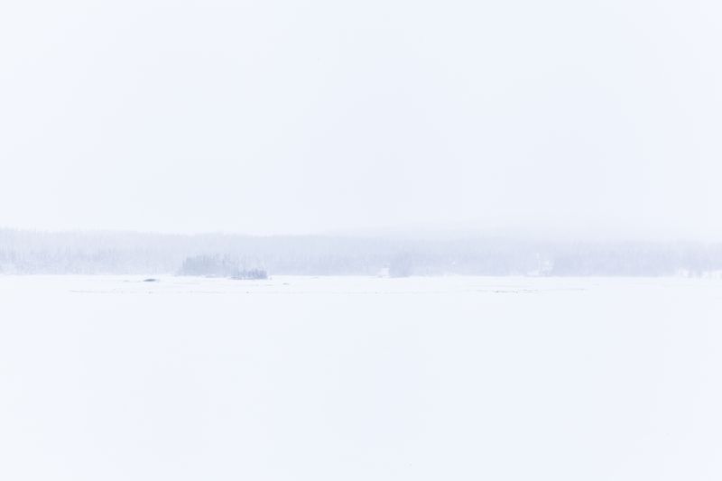 © Carol Müller - Footprint in the snow