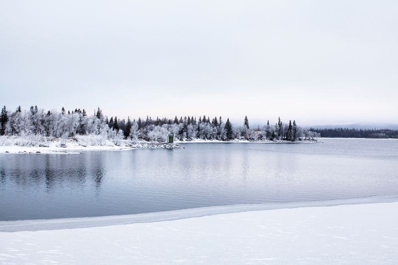 © Carol Müller - Footprint in the snow