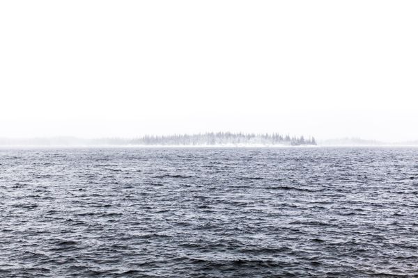 © Carol Müller - Footprint in the snow