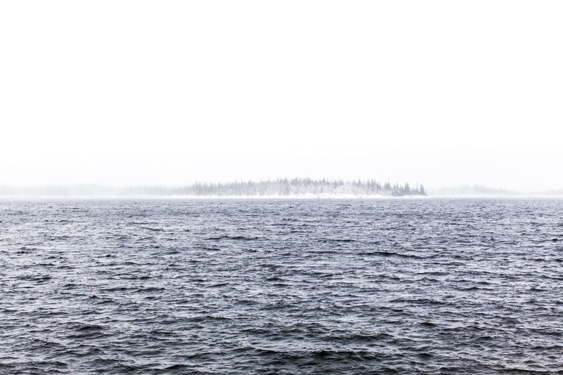 © Carol Müller - Footprint in the snow