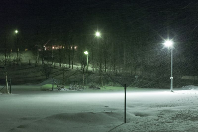 © Carol Müller - Footprint in the snow