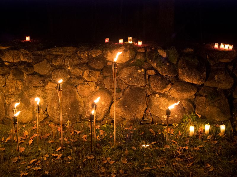 © Carol Müller - day of memory