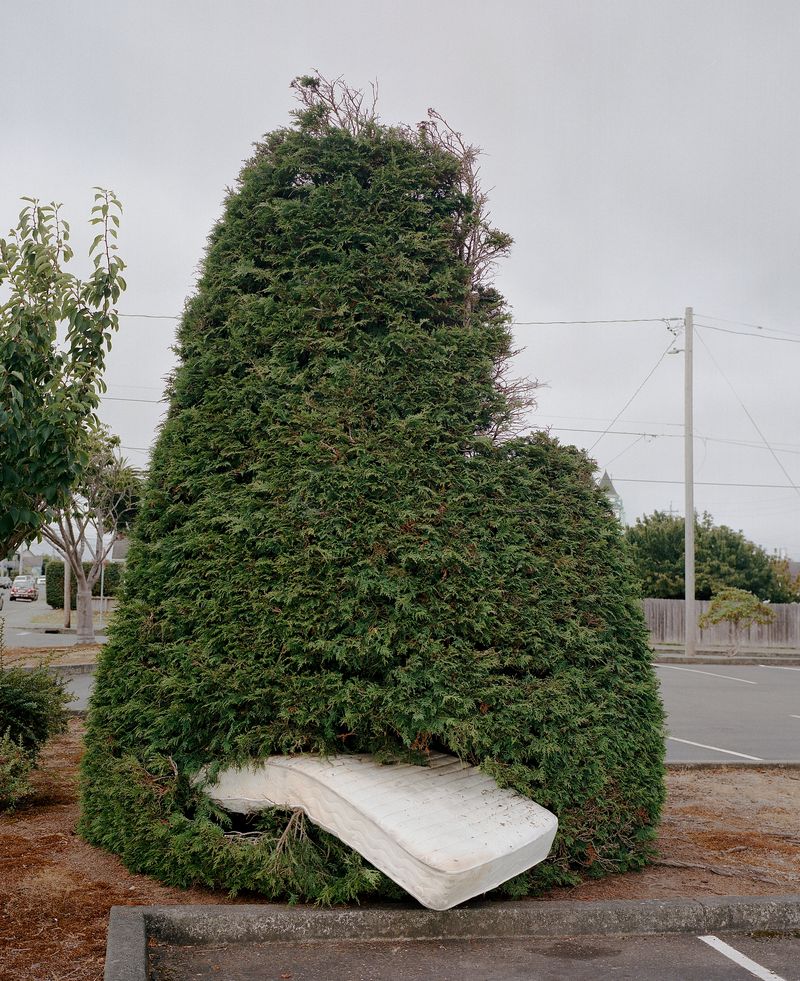 © Justin Maxon - Image from the Eureka! photography project