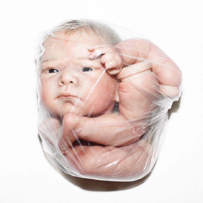 © Martina Cirese - Name: Barry;Date of Birth: 16.12.2016;Time of Birth: 16.59;Weight: 3524 g.;Height: 56 cm.; Eyes: Brown;Hair: Dark Brown