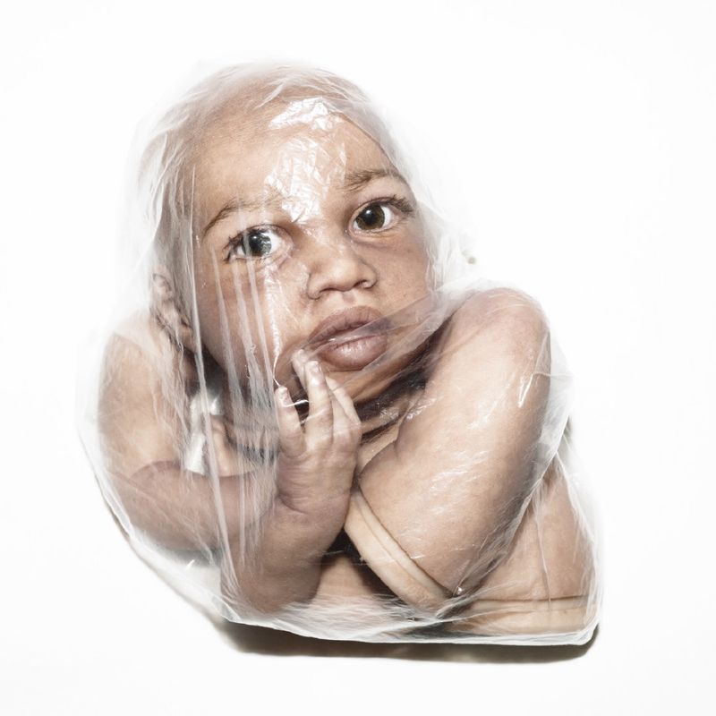 © Martina Cirese - Name: Timone;Date of Birth: 25.04.2014;Time of Birth: 15:12;Weight: 4500 g.;Height: 66 cm.;Eyes: Brown;Hair: --