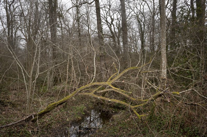 © Martina Cirese - Image from the The Dark Side of Sport photography project