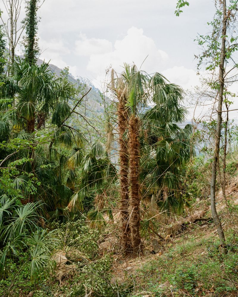 © Giaime Meloni - Image from the Hôtel Monte Veritá photography project