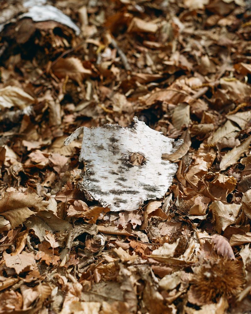 © Giaime Meloni - Image from the Hôtel Monte Veritá photography project