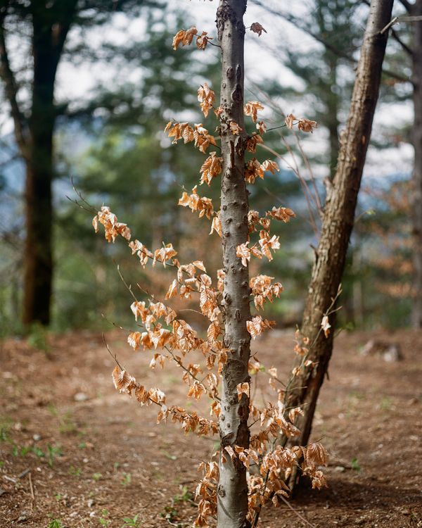© Giaime Meloni - Image from the Hôtel Monte Veritá photography project