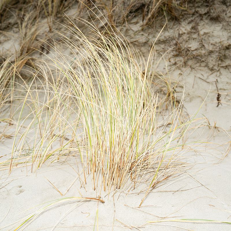 © Teresa Halbreiter - Image from the I spy with your little eye photography project