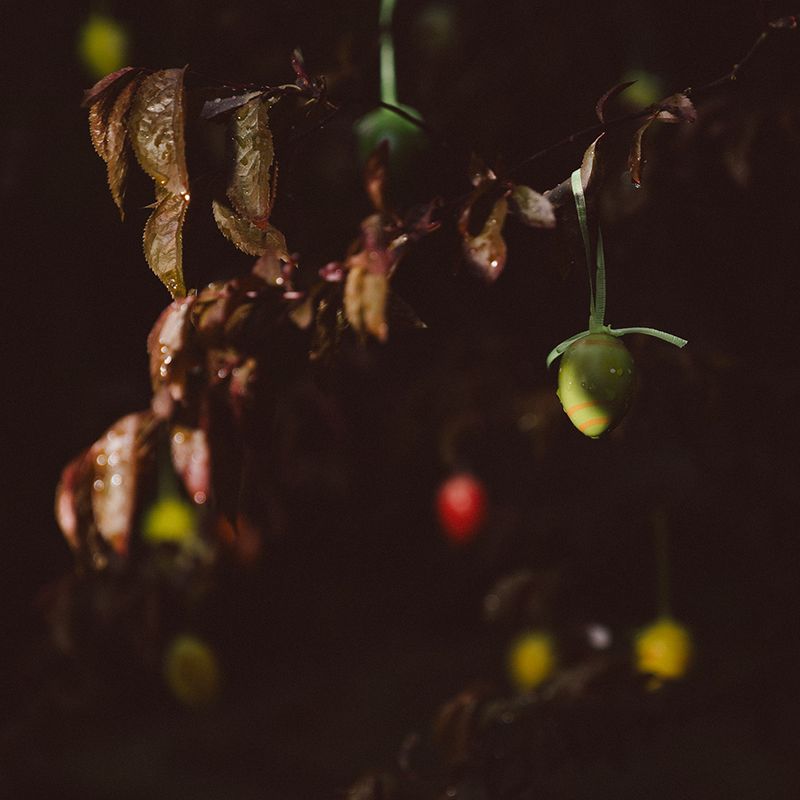 © Teresa Halbreiter - Image from the I spy with your little eye photography project