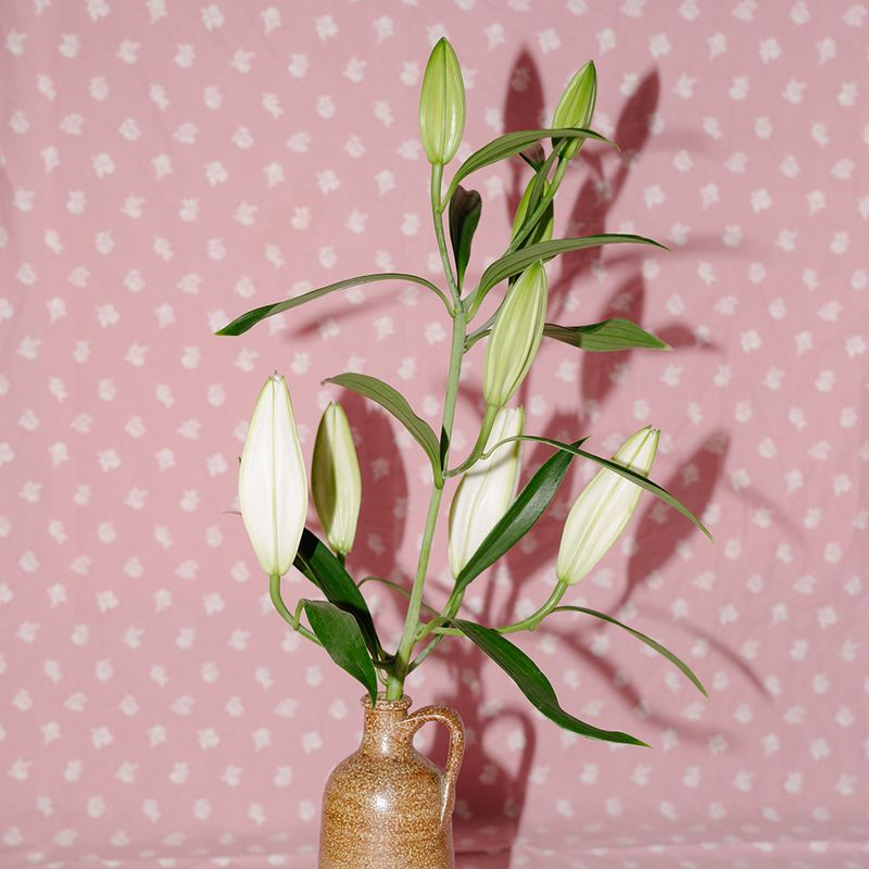 © Teresa Halbreiter - Image from the I spy with your little eye photography project