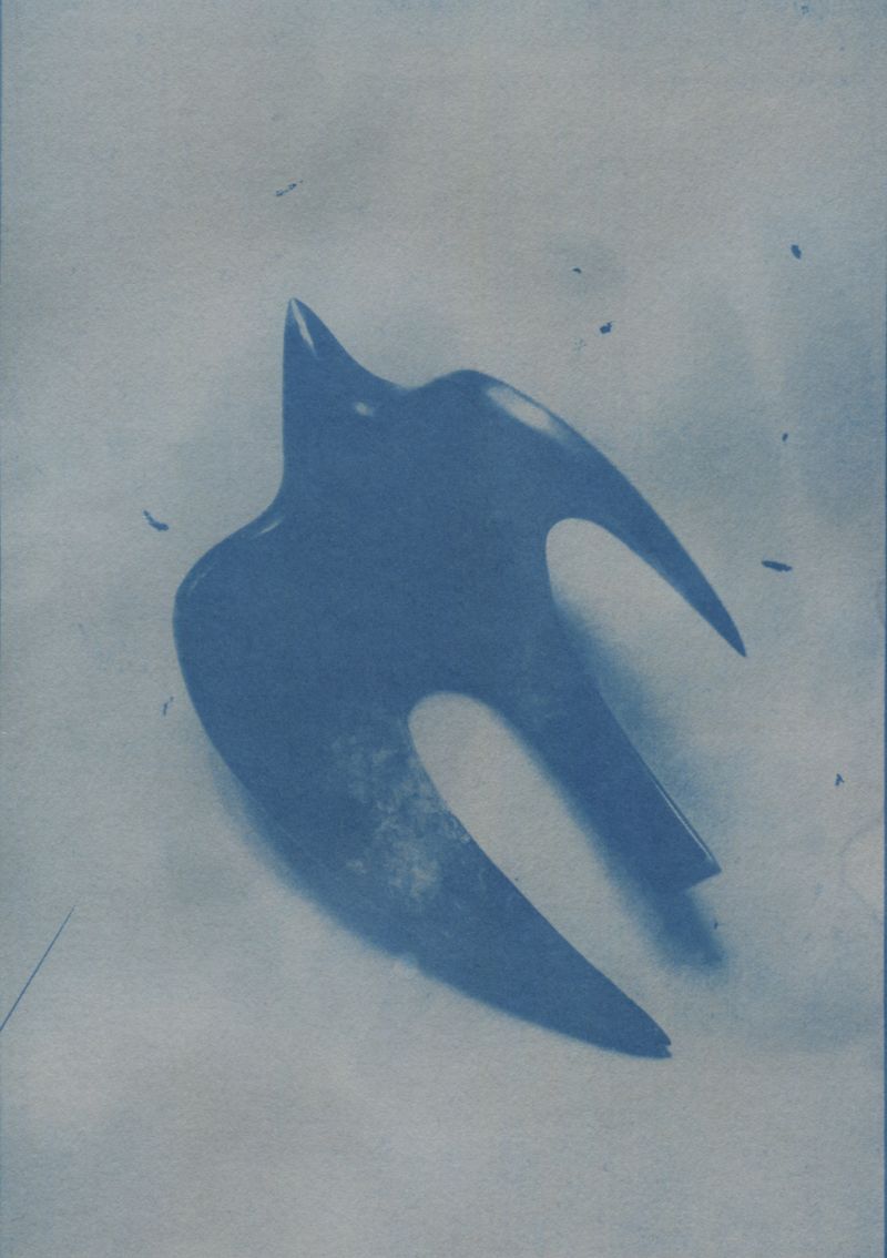 © Maya Valencia - Object recovered from my grandmother's house: a swallow, a migratory bird.