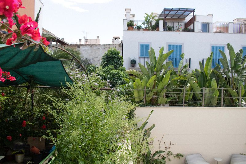 © Maya Valencia - The dividing wall separating my grandmother's house from the properties with swimming pools built since 2018 by foreigners.