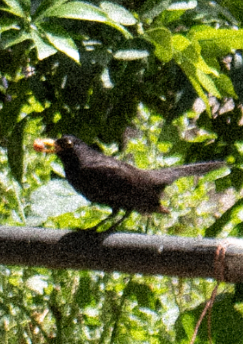 © Maya Valencia - Image from the Islander Out photography project