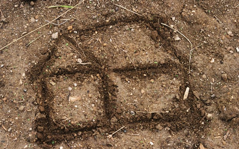 © Maya Valencia - Image from the Elegy for a house photography project