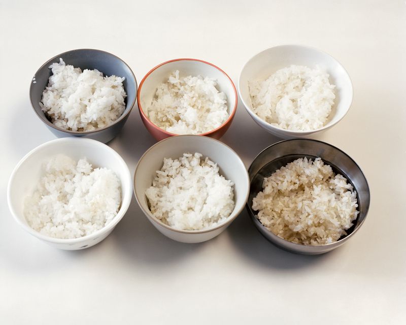 © minjue - Rice, 2025