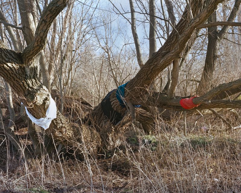 © minjue - Cuddling, 2025